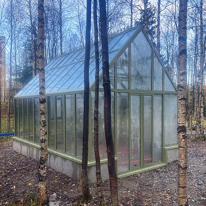 АСТЕРА Макси